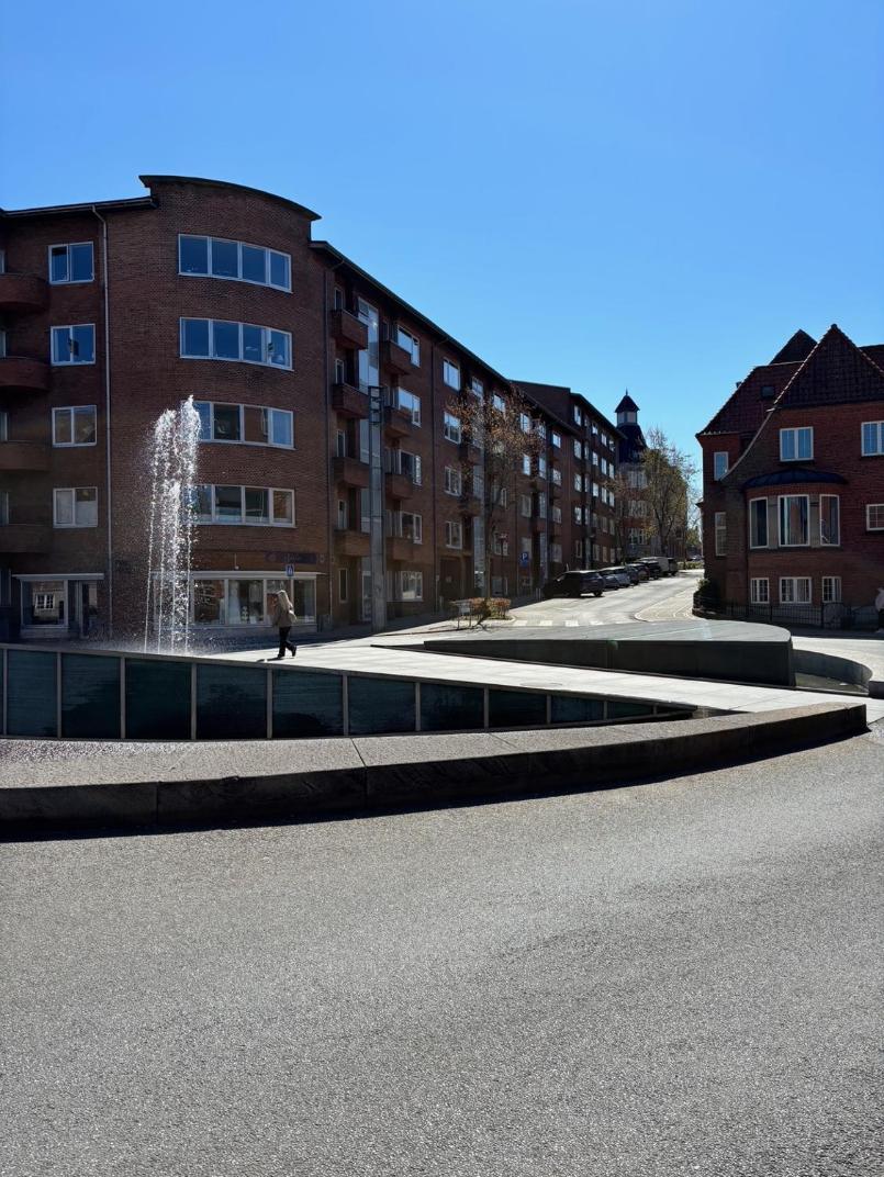 Liv Vejle