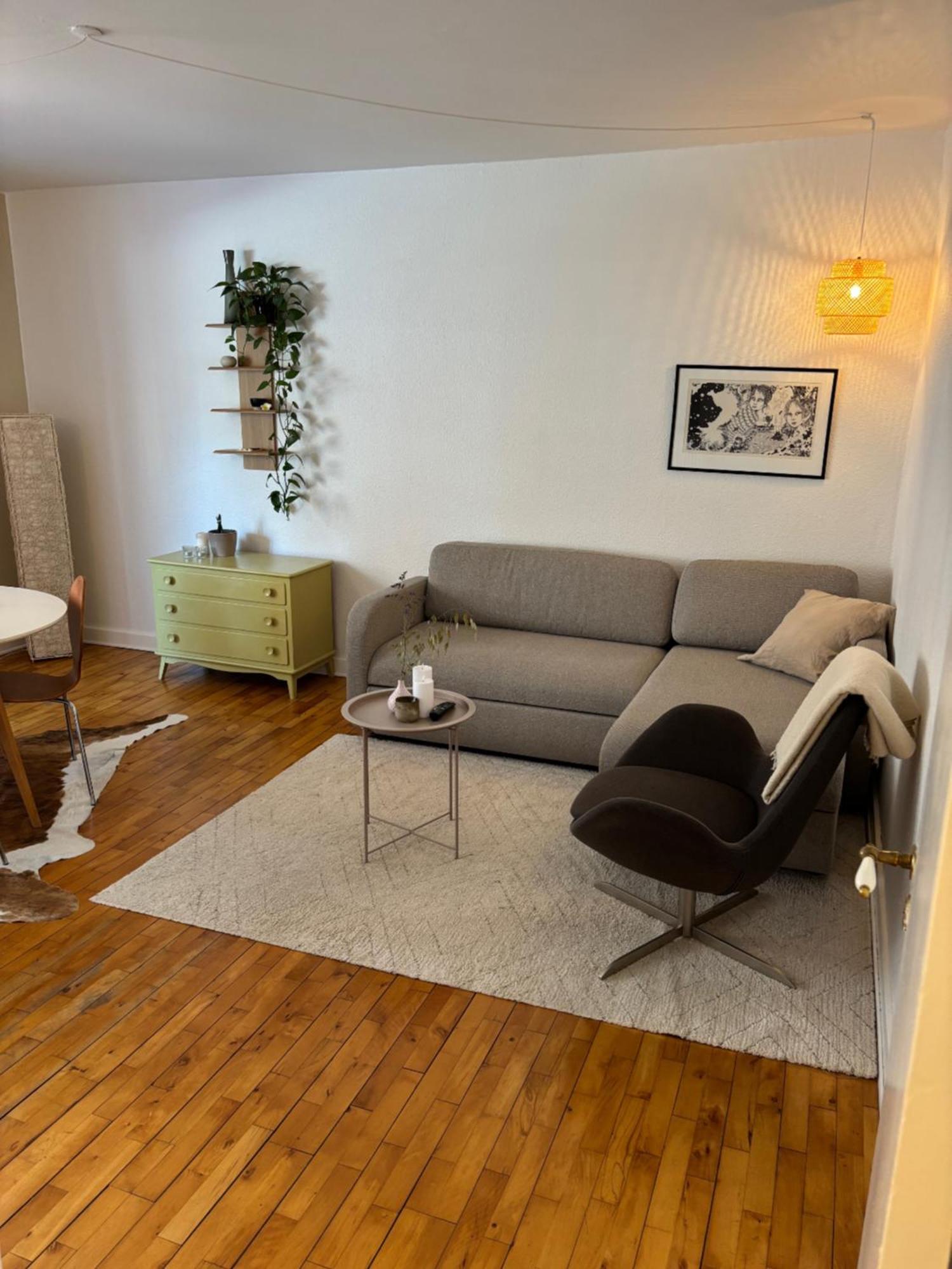Apartment Liv